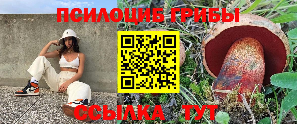 Псилоцибиновые грибы Psilocybe Дагестанские Огни