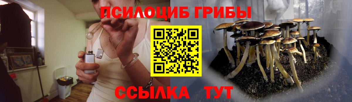 Дагестанские Огни  Псилоцибиновые грибы прущие грибы  Вход с VPN  Псилоцибиновые грибы мухоморы 
